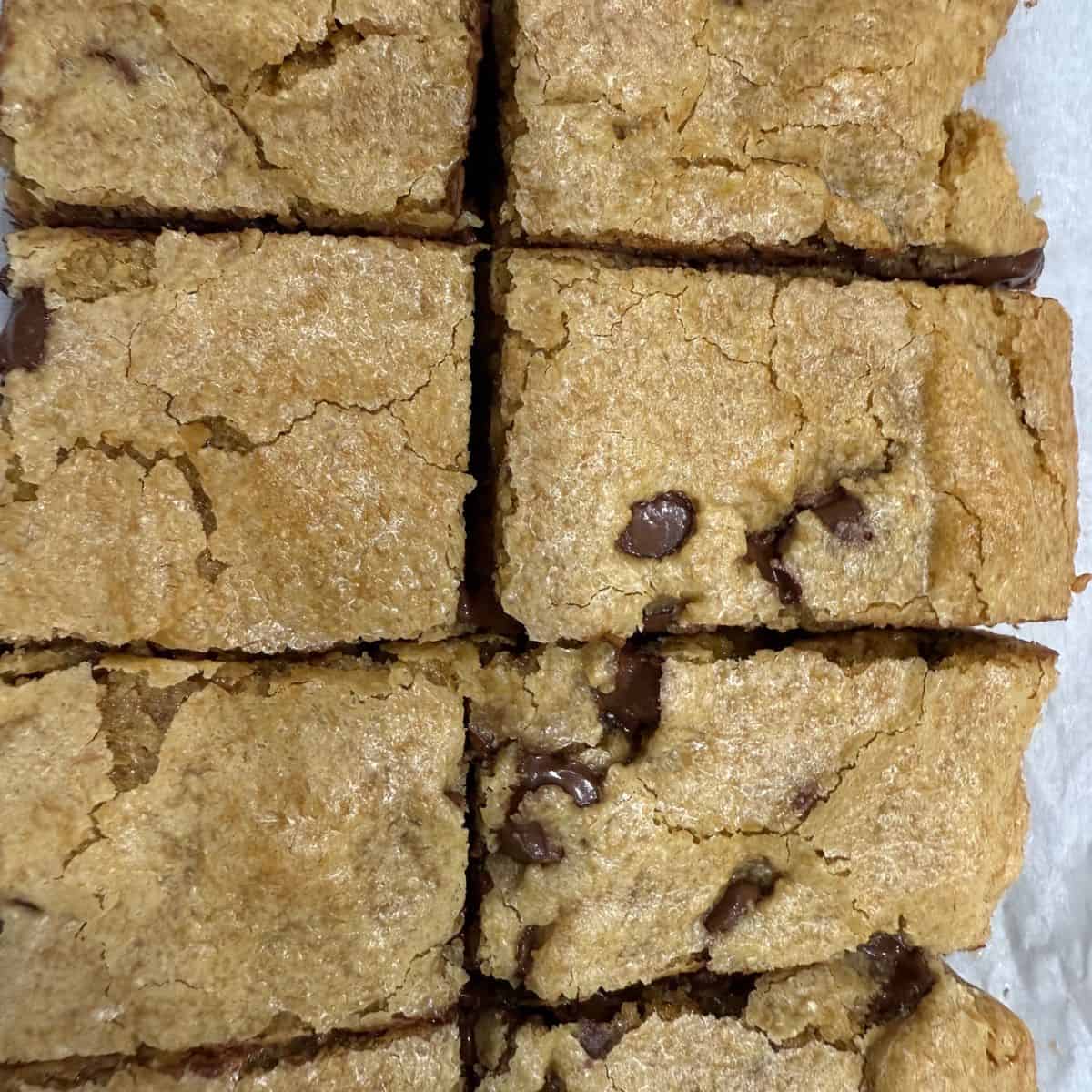 Einkorn chocolate chip cookie bars aka einkorn blondes