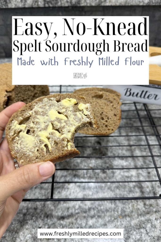 Easy No Knead Spelt Sourdough Bread made with freshly milled flour