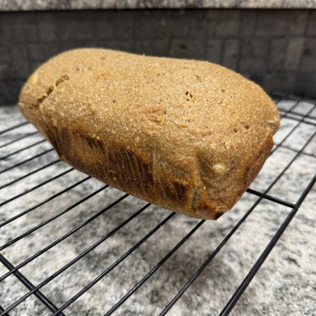 Fresh Out of the Oven Spelt Sourdough Bread made with Freshly Milled Flour