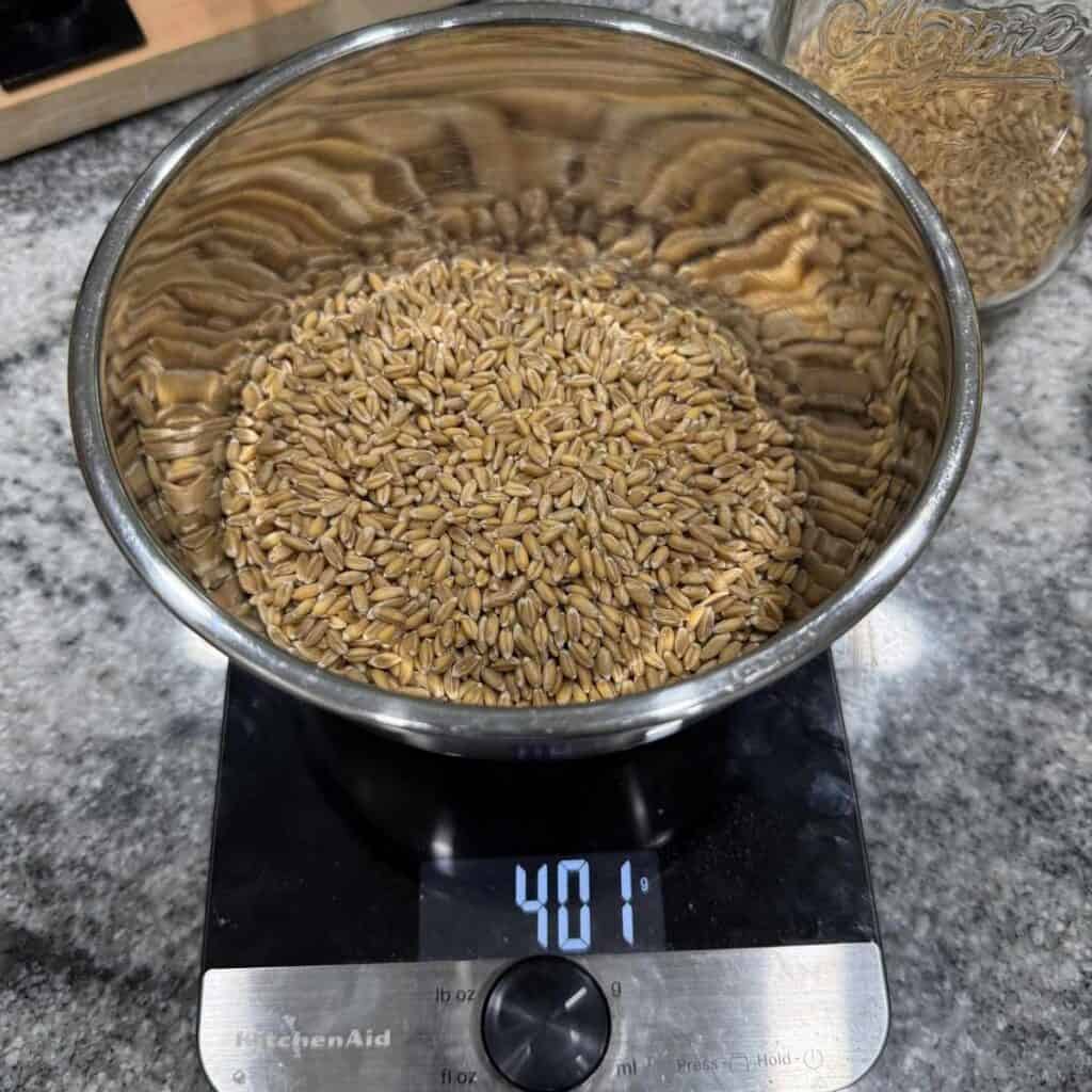 Measuring the Spelt Grains