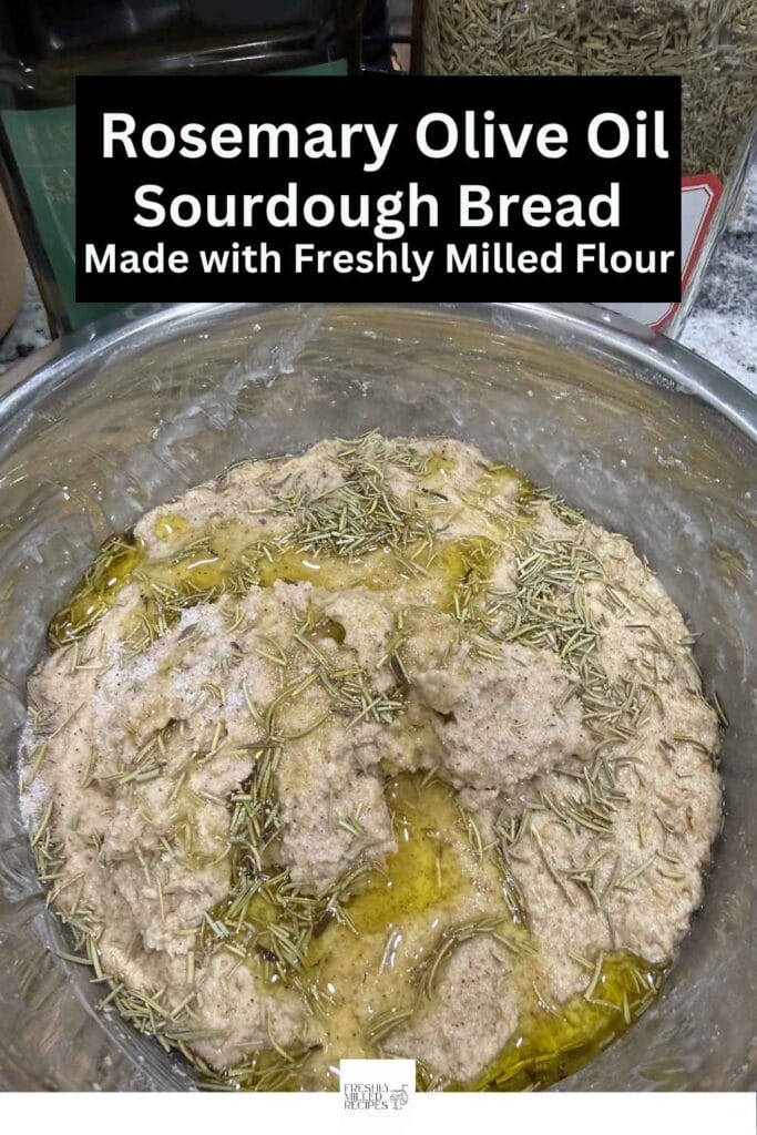 Rosemary Olive Oil Sourdough Bread made with Freshly MIlled Flour